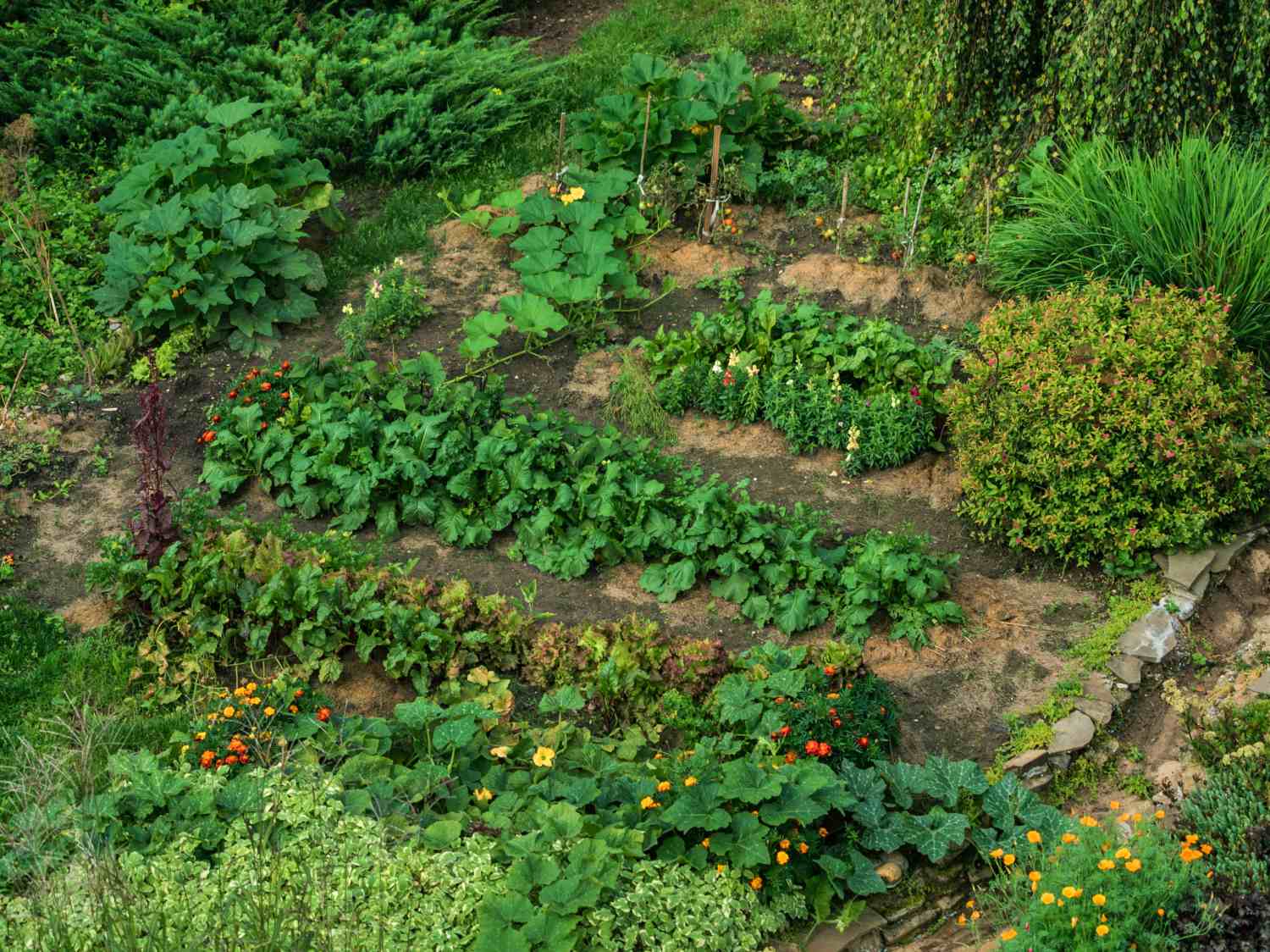 Biodiversity leads to a self-sustaining permaculture garden