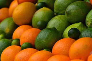 Citrus varieties on display