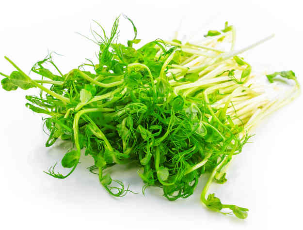 Watercress - Health Benefits And Therapeutic Value