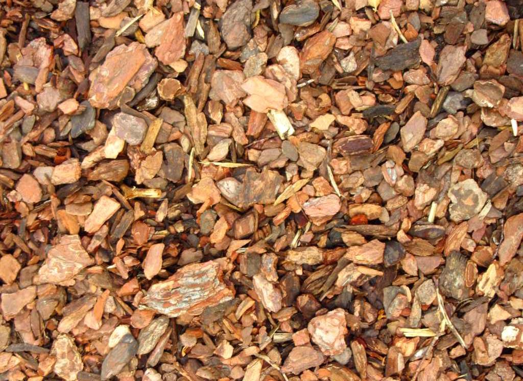 maritime-pine-bark-an-excellent-ornamental-mulch-ideal-for-heath-plants