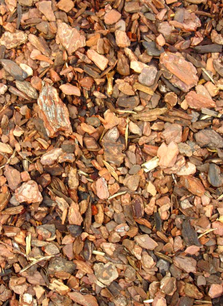 maritime-pine-bark-an-excellent-ornamental-mulch-ideal-for-heath-plants