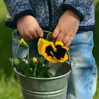 Gardening in March with Children