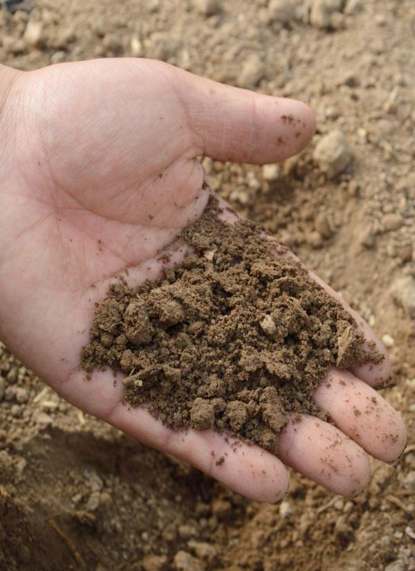 How to know your type of garden soil - pH, chalky, sandy or loamy.