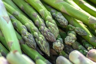 Harvested asparagus