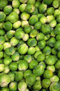 Harvest of Brussels sprouts