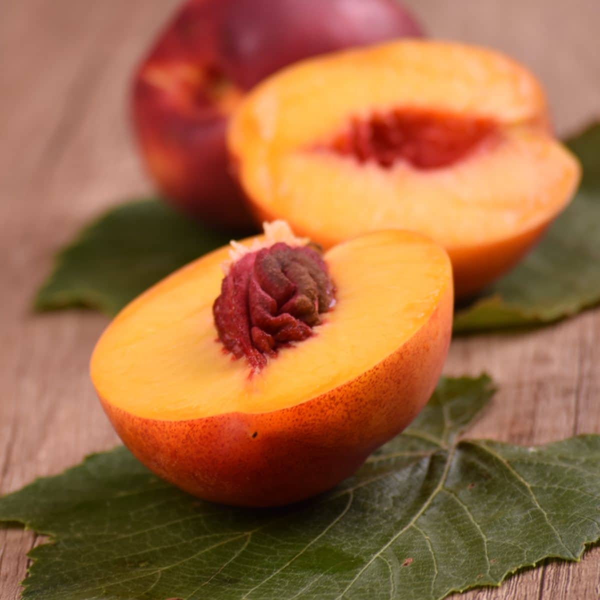 landen voorzetsel Fitness Nectarine - health benefits and therapeutic value for this peach-like fruit