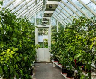 The perfect greenhouse