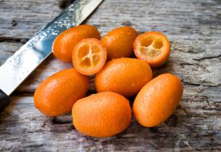 Kumquat fruits