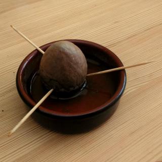 Avocado pit, cleaned and pointed tip up, set up over a water-filled saucer with three toothpicks.