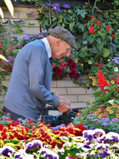 An elderly person can still garden thanks to a raised garden.