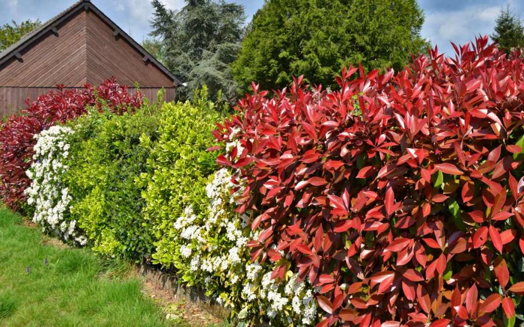 Mixed hedge, a natural option with so many advantages