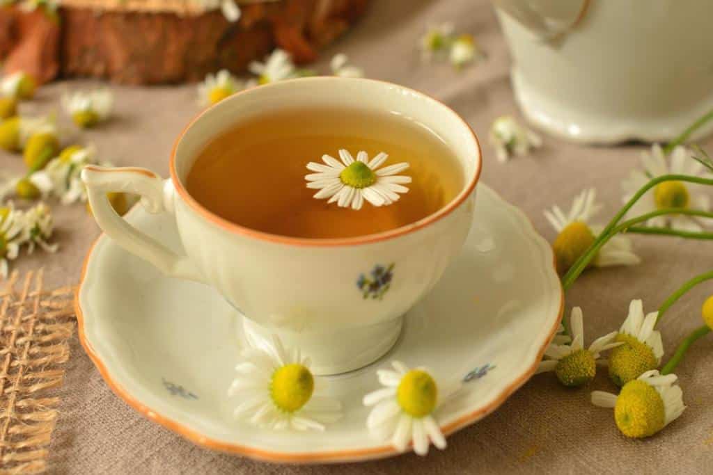 Teacup with roman chamomile tea.