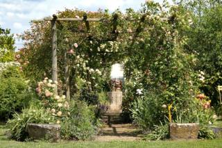Authenticity in this stone and round post rose tree arbor