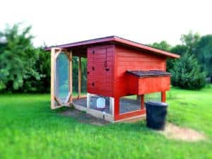 Chicken garden coop - setting up a chicken coop in the garden