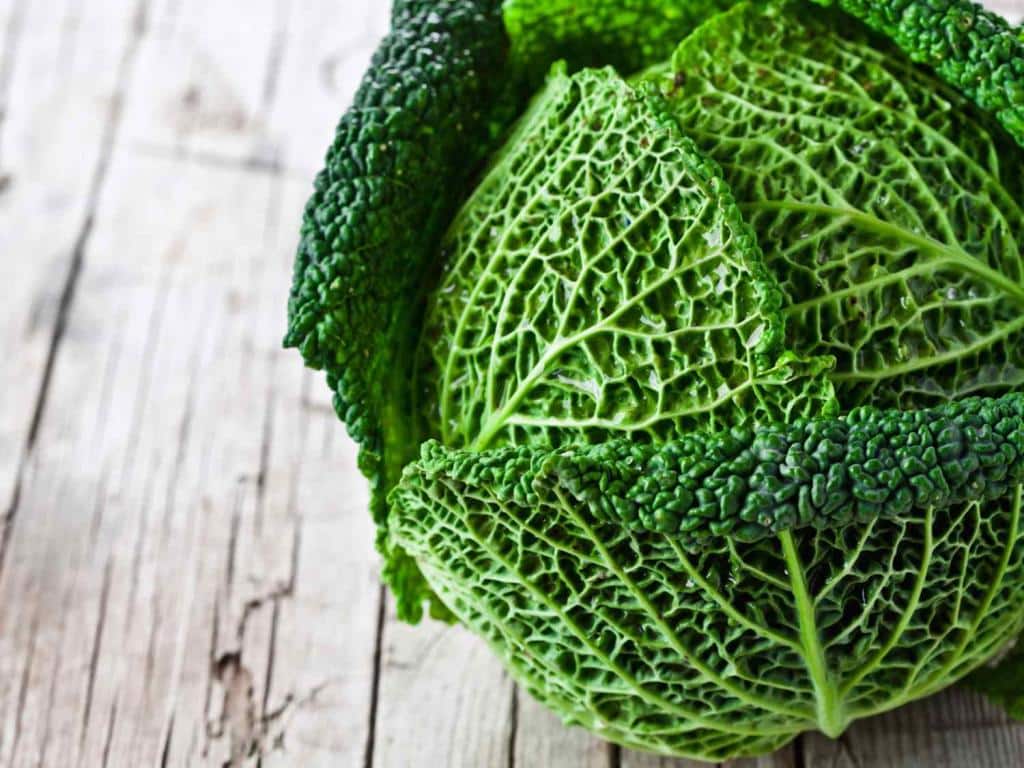 Benefits of savoy cabbage