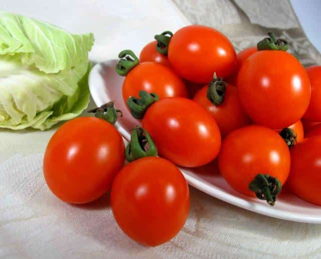 How to save tomato seeds, from selecting the fruits to timing and storing