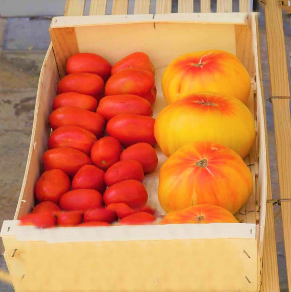 Pineapple tomato in a crate with another variety nearby