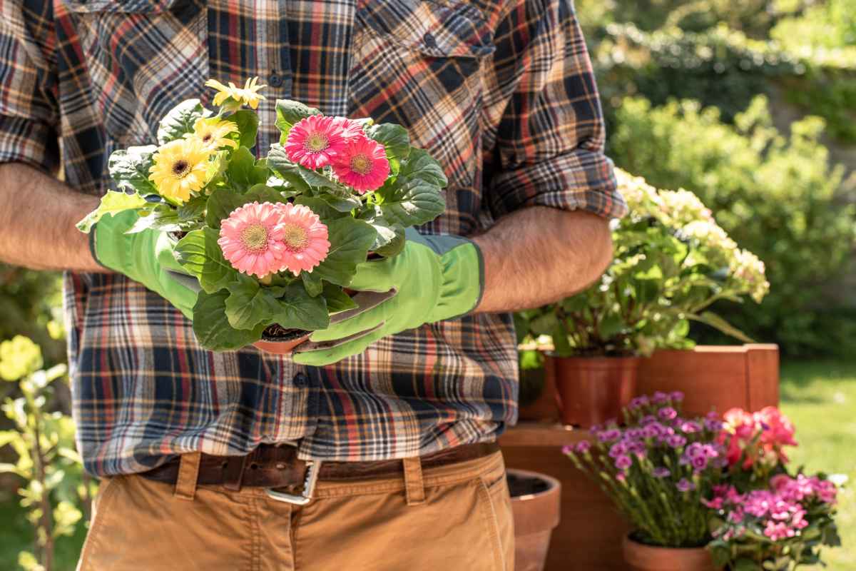  How To Plant Flowers Advice And Tips For Perennials And Annuals