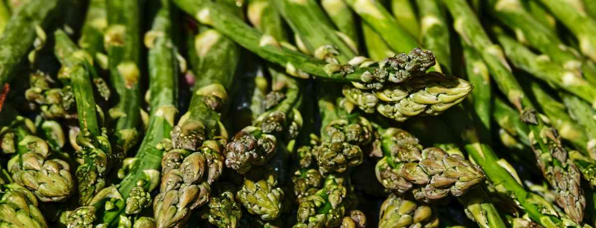 Asparagus information