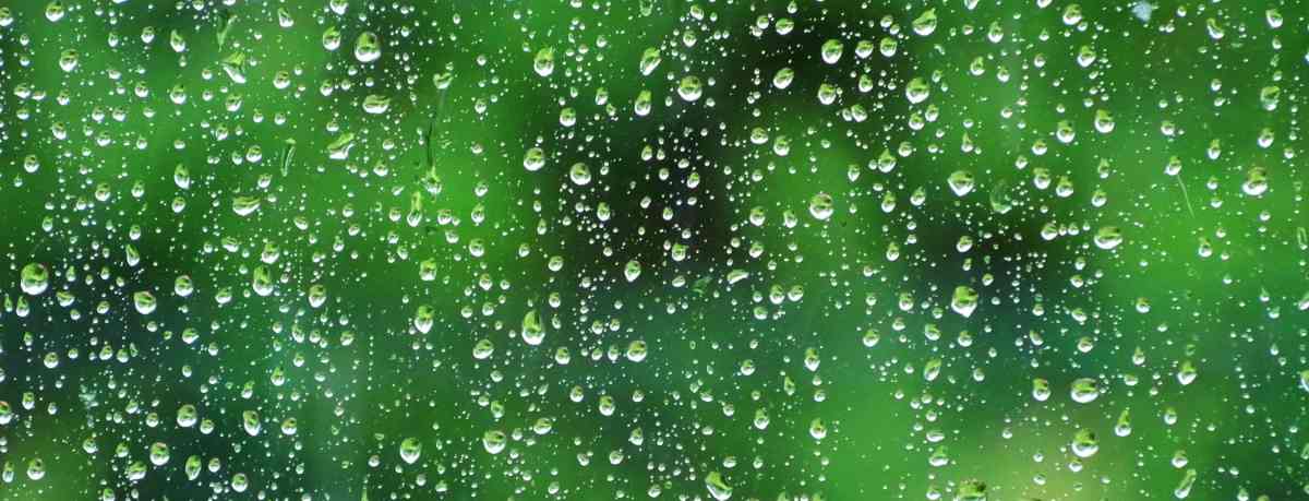 Rainwater information