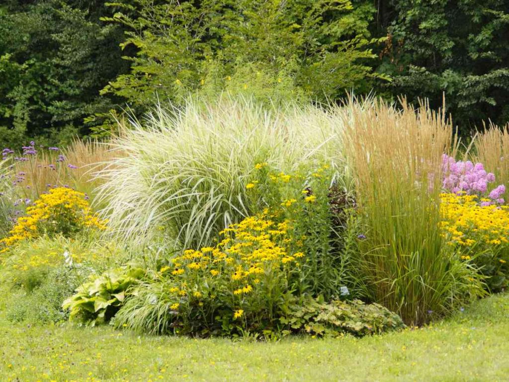 How to make a flower bed that's beautiful all year round