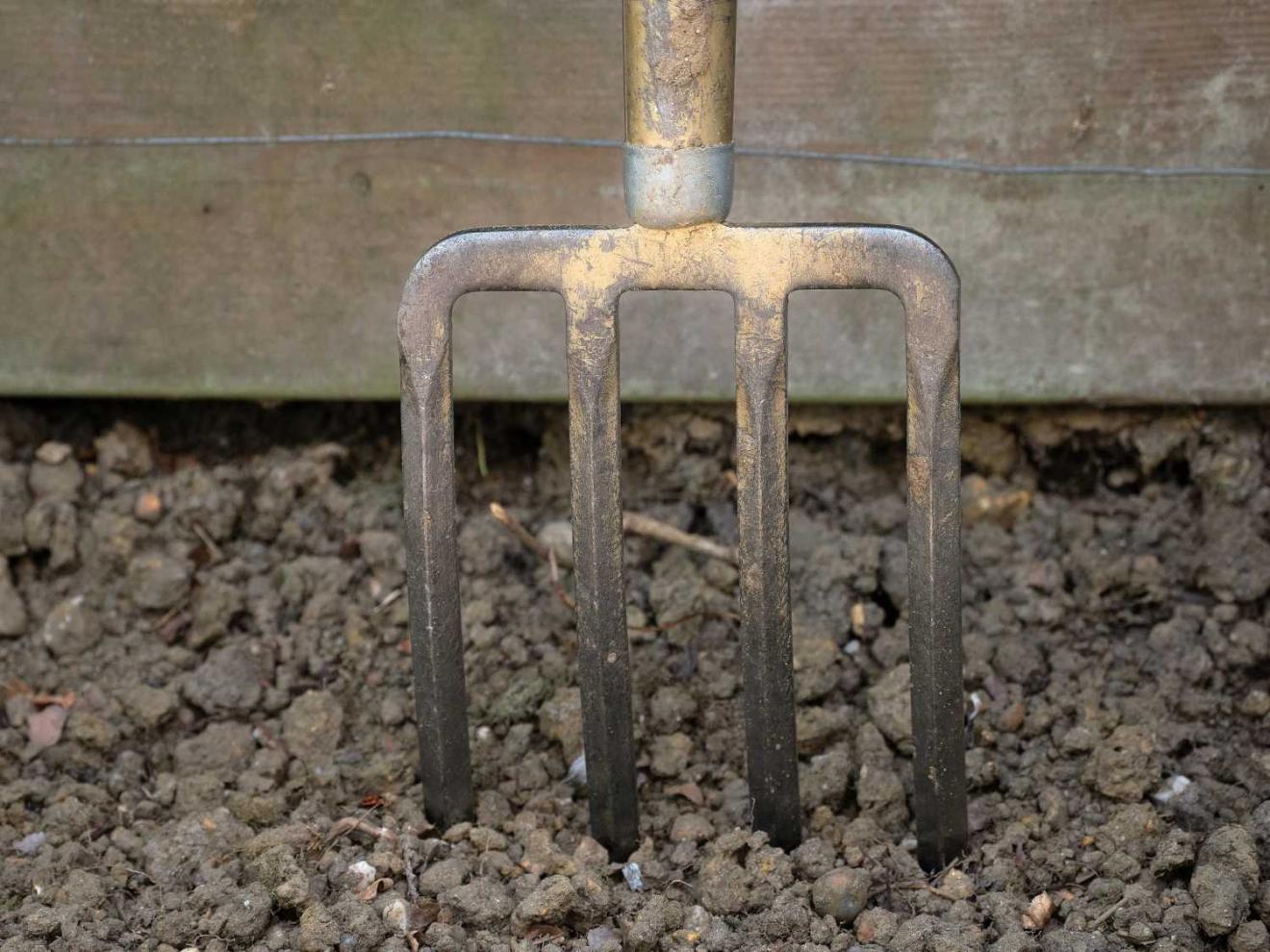 Spading fork, a sturdy tool for down-to-earth gardeners