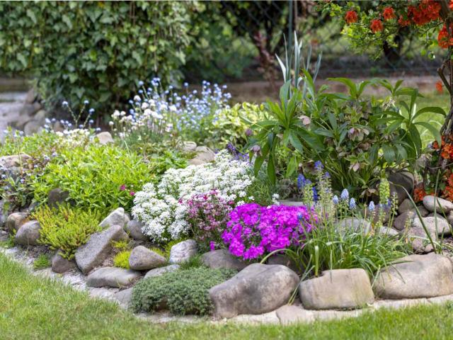 Ugly mound in the garden? Wonderful ideas to landscape it!