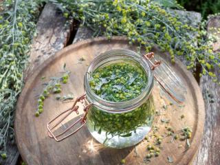 Recipe for wormwood weed tea